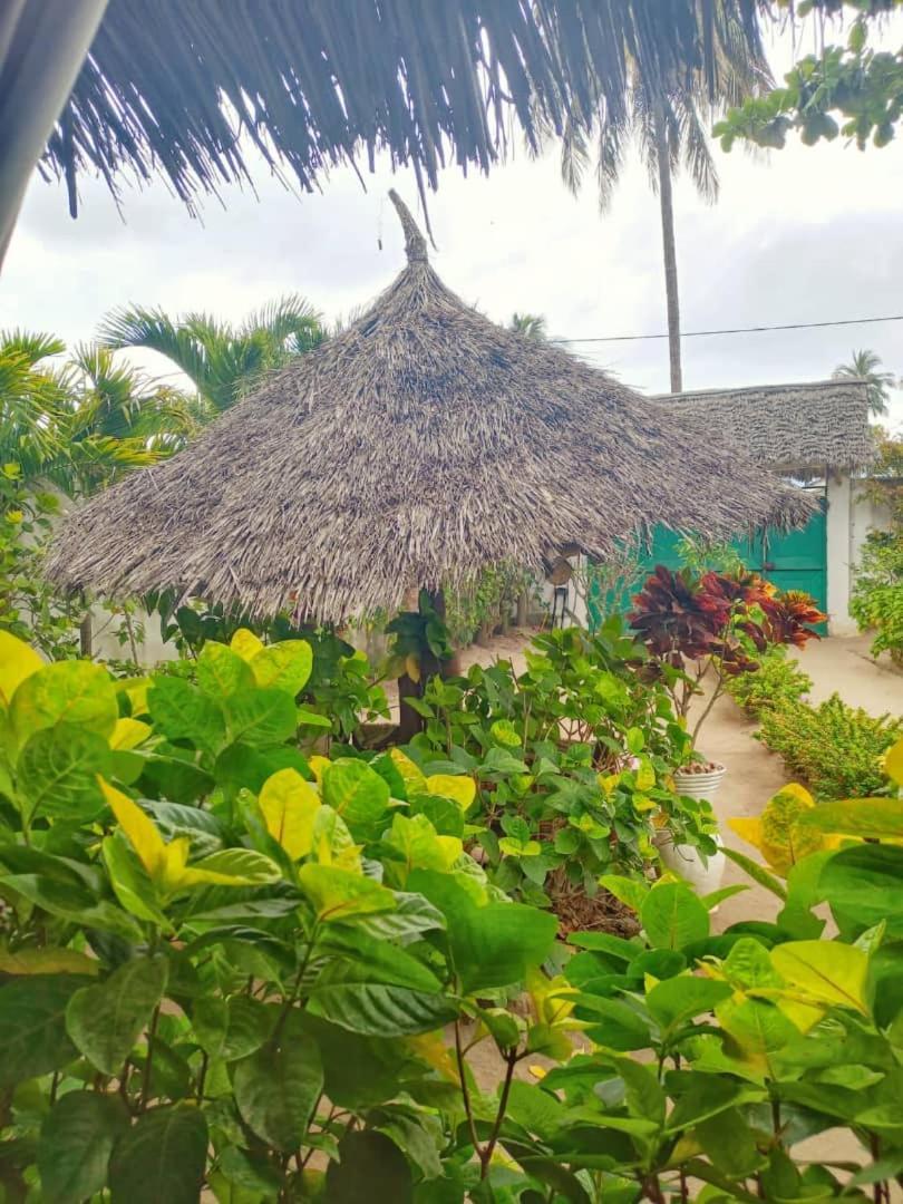 Casa Carlotta & Villa Nungwi Exterior photo